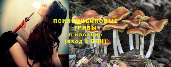 mix Арсеньев